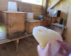 Honigproduktion - Bauernhof Restgut